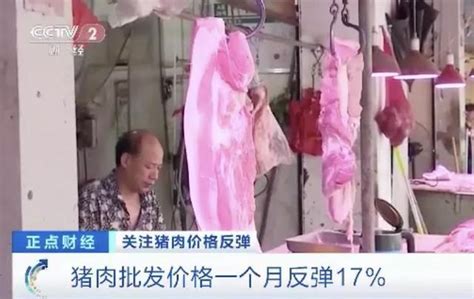 猪价“3连跌”，临近年关跌入6元区间，猪市到底啥情况？_凤凰网视频_凤凰网