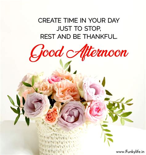 Good Afternoon Images Hd, Lovely Good Morning Images, Good Afternoon ...