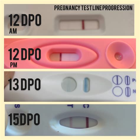 Pregnancy Test Line Progression