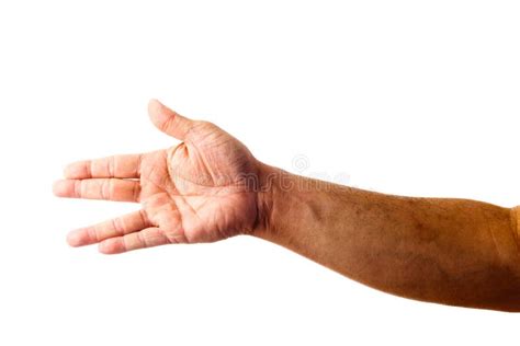 Split-Finger Fastball 的图像结果