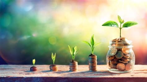 Savings Account Interest Calculator – Calculate Bank Interest | IDFC ...