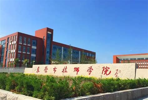 东营职业学院是公办还是民办属于本科院校吗？东营职业学院