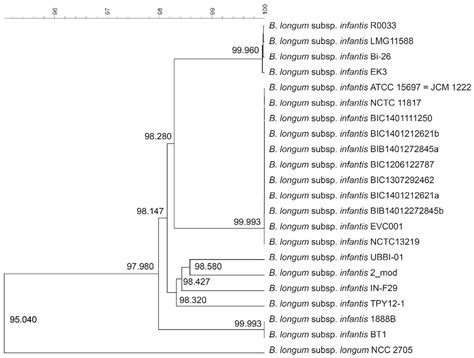 Phylogenetic, Functional and Safety Features of 1950s B. infantis Strains