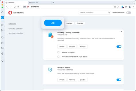 Image result for Extensions Opera