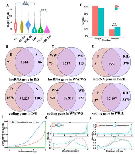IJMS | Special Issue : The Role of Non-coding RNA in Plant Response to ...