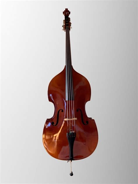 Kontrabass Kontrabaß Baßgeige Double Bass in Ainring | Musik und ...