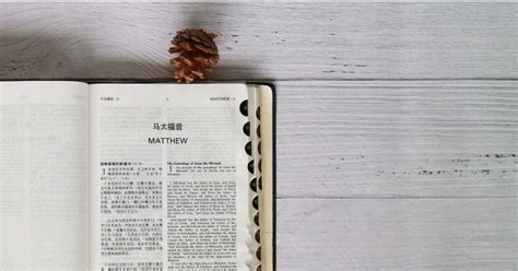 圣经人物14CD Section 02(18)_福音中国网站