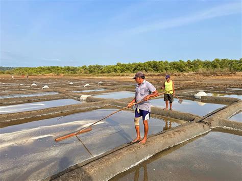 Goa's Water Crisis: The Urgent Need to Listen to Rivers and Wetlands