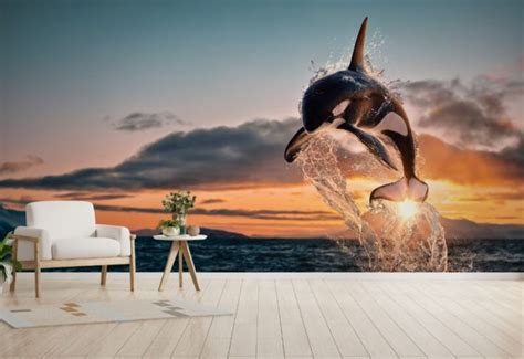 Marine Mammals Wallpaper | Online | Price | Magicdecor