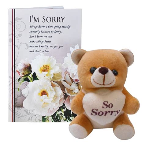 Sorry Gift Combo - Soft Teddy & Greeting Card