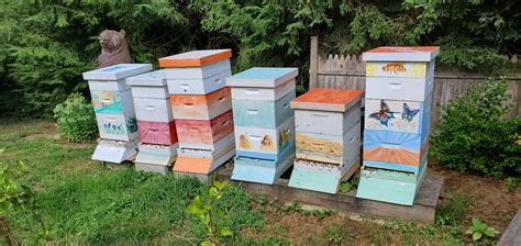 Bee Medicine | Salmon Brook Veterinary Hospital | CT Vet in 06035