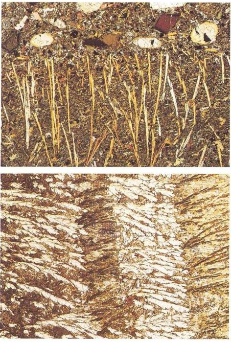 Elongate, possibly curved, branching crystals sharing the