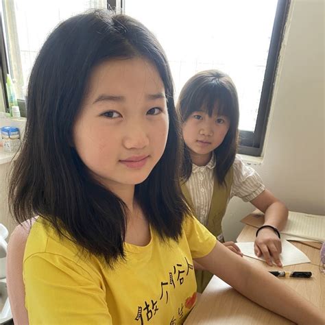 新视 - 视频号数据分析工具