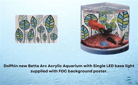 TUNAI Dophin T101 Mini Aquarium Fish Tank | Single Light | Elegant and ...