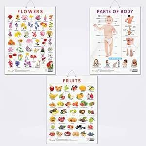 FRUITS CHART GLOSS LAMINATED, FLOWERS CHART GLOSS LAMINATED, and PARTS ...