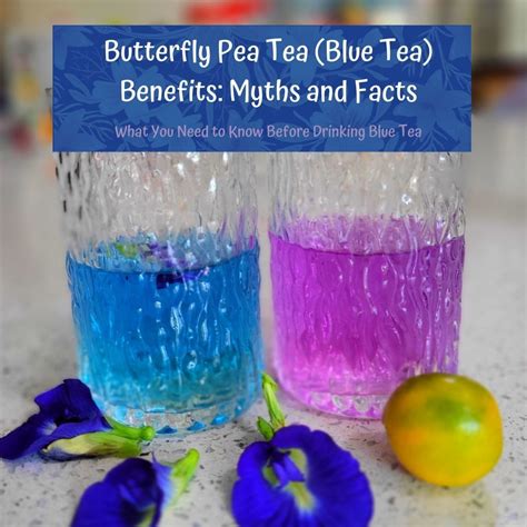 Butterfly Pea Tea (Blue Tea) Benefits, Myths, and Facts - CalorieBee