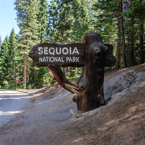 Sequoia National Park Sign in Sequoia & Kings Canyon, CA (With Photos)