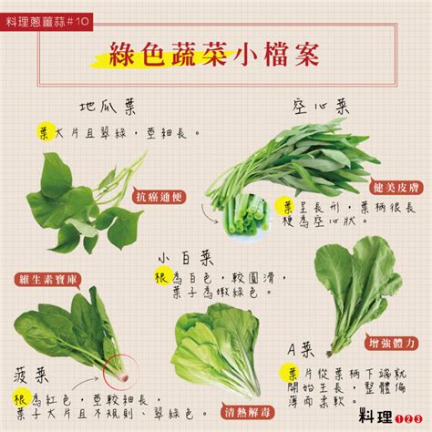 綠色蔬菜小檔案 – 料理123