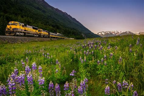 Image result for Spring Break Train