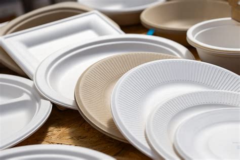 Are disposable paper plates recyclable? – KimEcopak