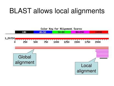 Image result for Local Sequence Alignment