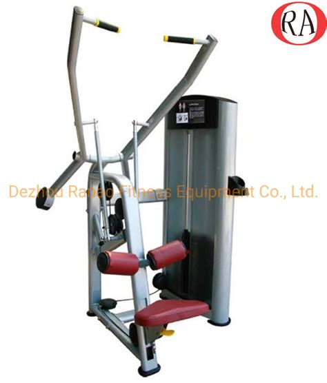 Back Exercise Machine Names 的图像结果
