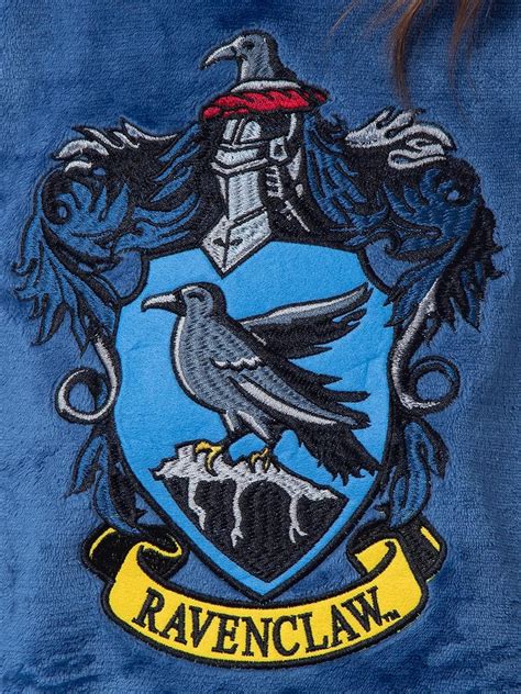 Buy Harry Potter Girls' Hogwarts Crest Raglan Pajama Nightgown-All ...