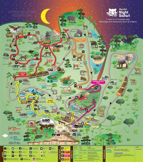 Discovering the Nocturnal Wildlife: Highlights of the Singapore Night Safari