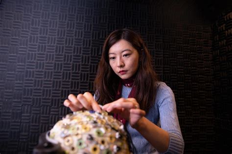 Image result for Shell Pattern Inside