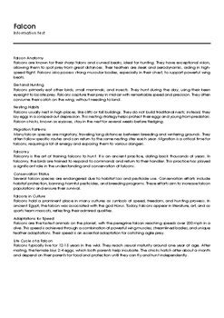 Image result for Falcon C++ Coding Lessons