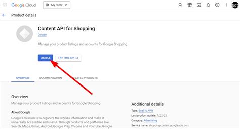 Image result for How to Use API Key
