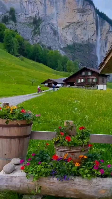 Belle Nature 的图像结果