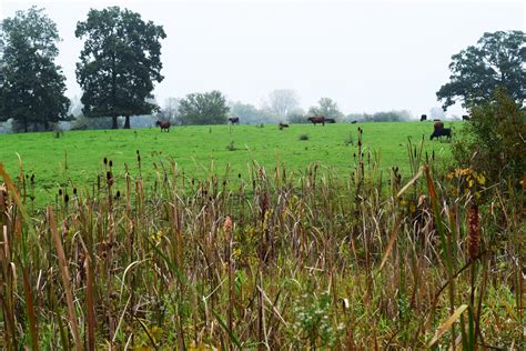 Park Tour – Royal Oaks at Crystal Lake