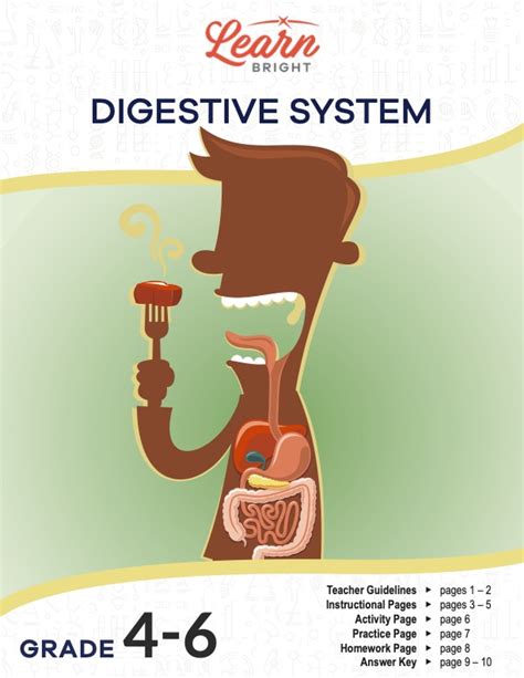 Digestive Process for Kids 的图像结果