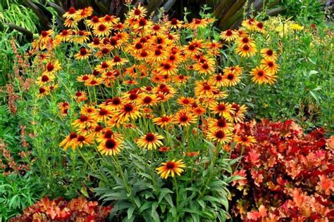 Image result for Edge Sorting Example