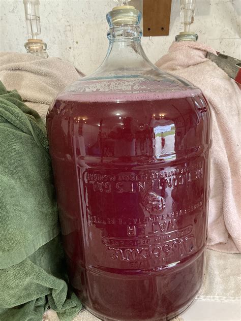 Pin by Zbyszek Typiak on trunki | Blueberry wine, Wine making recipes ...