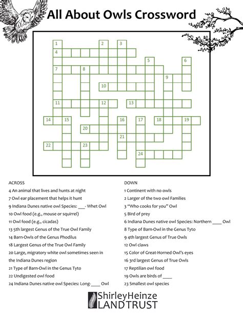 Genus Of Typical Owls Crossword Clue