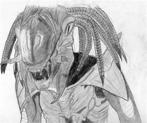 Image result for How to Draw the Predalien