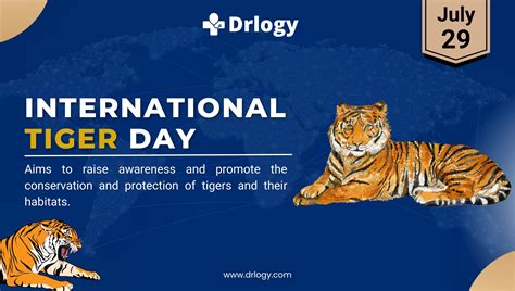 International Tiger Day july 29: 10 Amazing Facts and Awareness | Drlogy