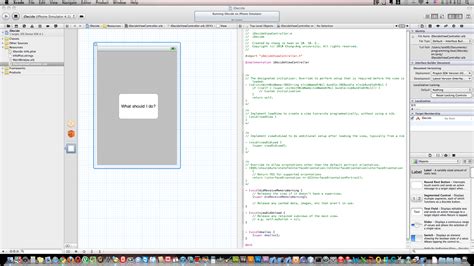 Xcode 12 4 的图像结果