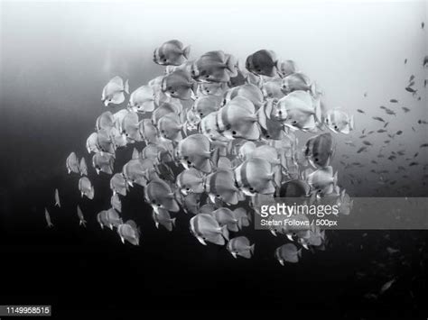 Image result for Dry-Ice Exploding