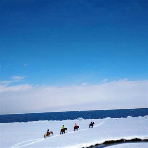 ABASHIRI GENSEI BOKUJYO TOURIST CENTER (2026) All You Need to Know ...