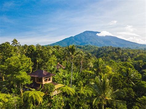 SARINBUANA ECO LODGE (Bali/Tabanan) - 2026 Lodge Reviews, Photos, Rate ...