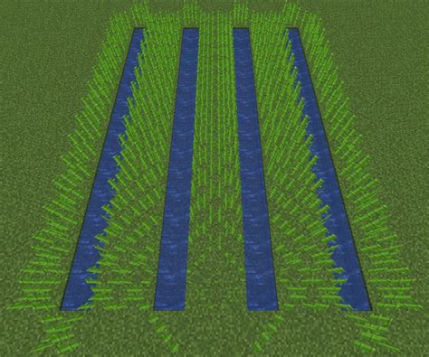 Image result for Minecraft Sugarcane Farm Tutorial