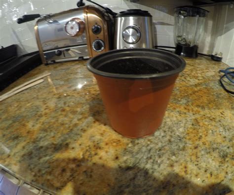 Basic Hydroponics for Beginners 的图像结果