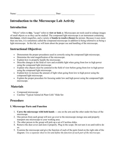 Microscope Lab Activity 的图像结果