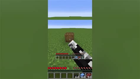 Image result for Duplication Glitch 1.16.3 Java