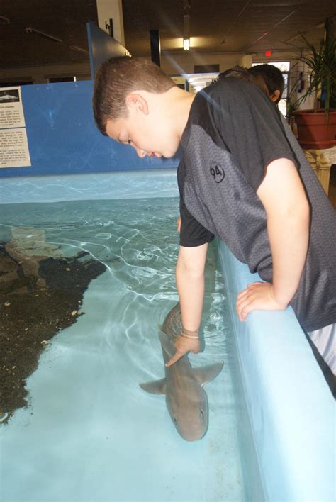 BIOMES Marine Biology Center | North Kingstown, RI 02852