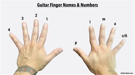 How To Read Guitar Finger Charts at Claire Grissom blog