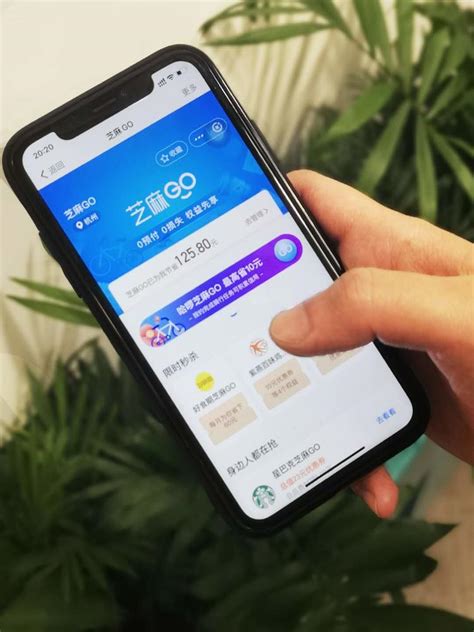 315芝麻信用推出“芝麻GO”，让更多消费者体验“先享受后付费” - 周到上海